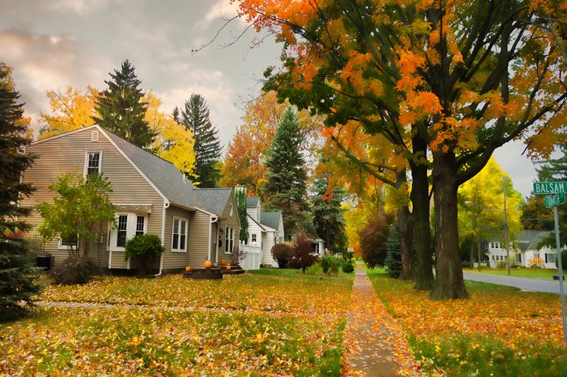A street view of a home with fall weather. 5 Reasons to Schedule a Fall Furnace Clean and Check.