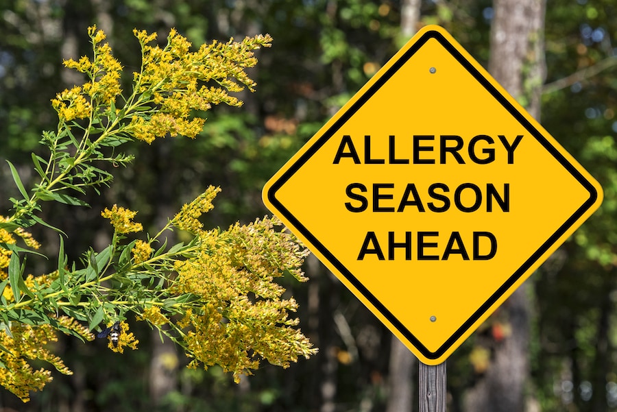 Caution Sign - Allergy Season Ahead.